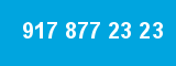 917 877 23 23